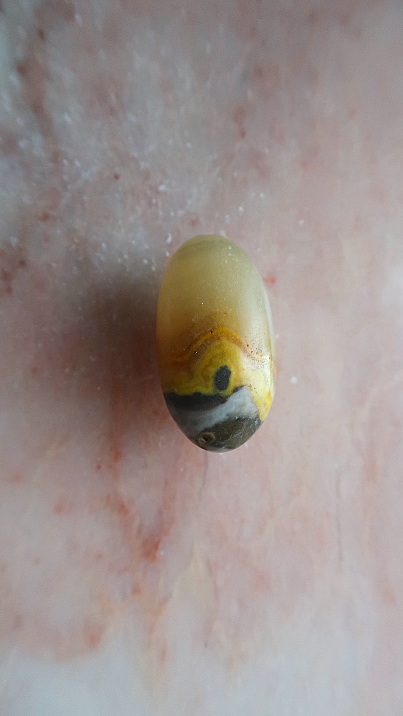 Bumble Bee Jasper