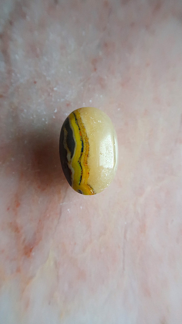 Bumble Bee Jasper