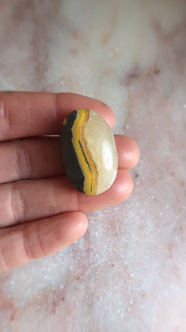 Bumble Bee Jasper