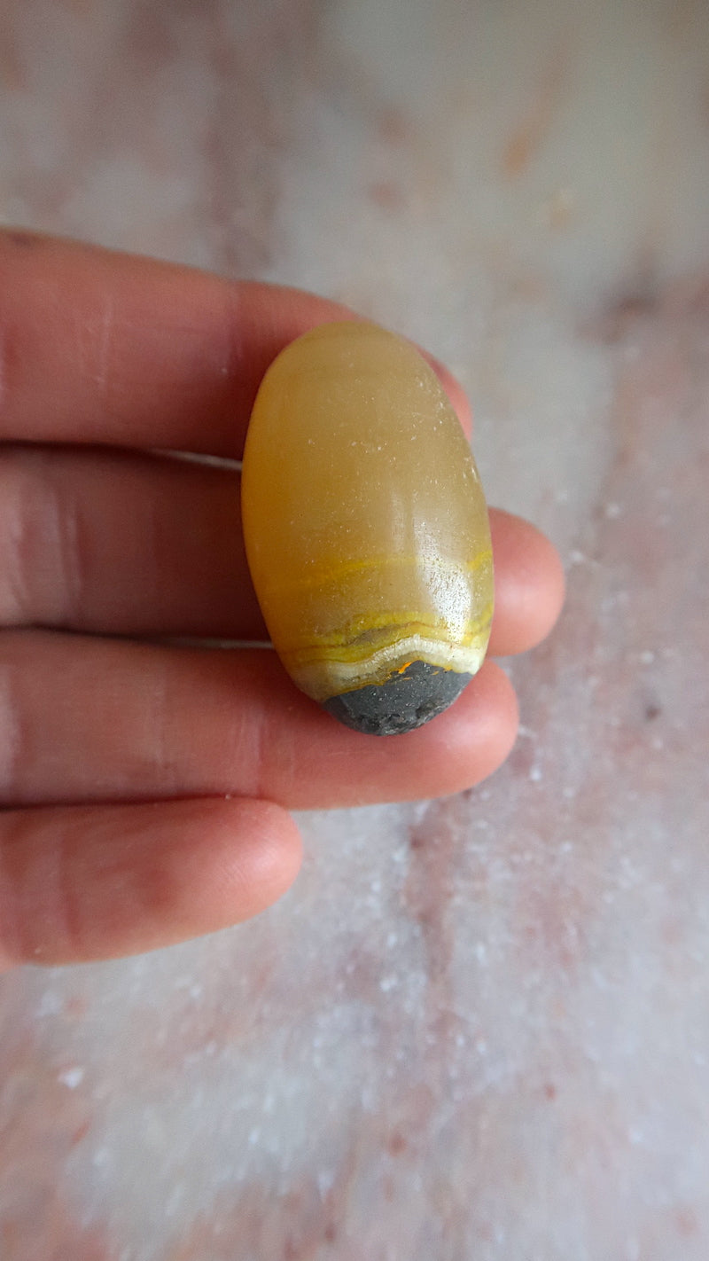 Bumble Bee Jasper