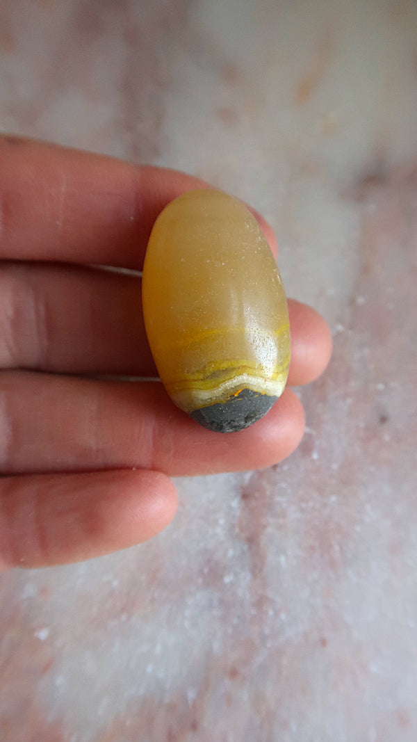 Bumble Bee Jasper