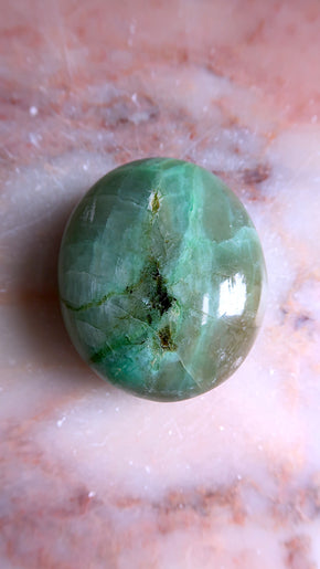 Garnierte Palm Stone