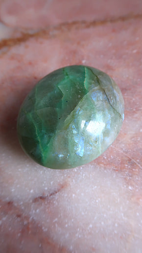 Garnierte Palm Stone