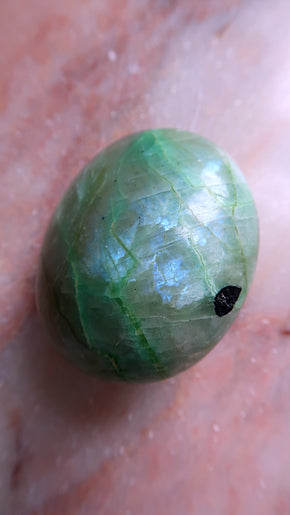 Garnierte Palm Stone