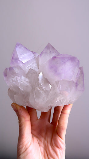 Large Raw Amethyst Cluster