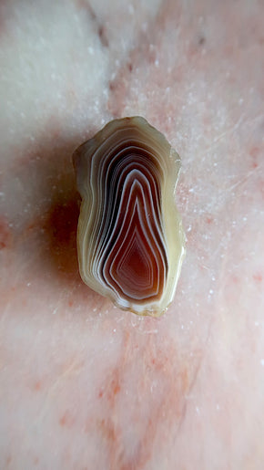 Botswana Agate Slice - for balance