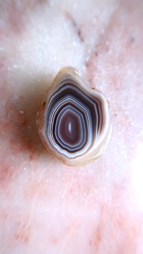 Botswana Agate Slice - for peace