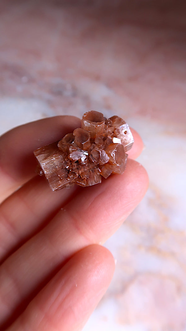 Aragonite Star Clusters