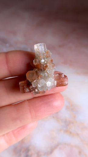 Aragonite Star Clusters