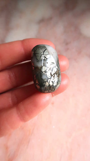 Golden Pyrite