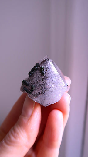 Fairy Garden Amethyst
