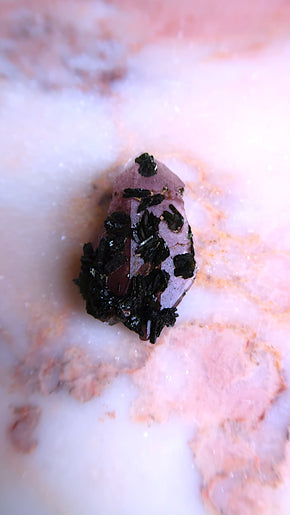 Fairy Garden Amethyst
