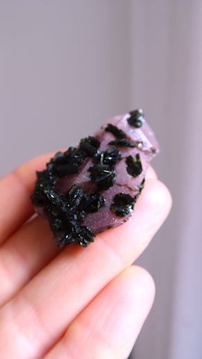 Fairy Garden Amethyst