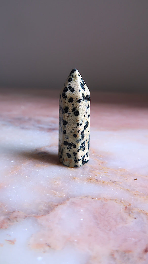 Small Dalmation Jasper Point