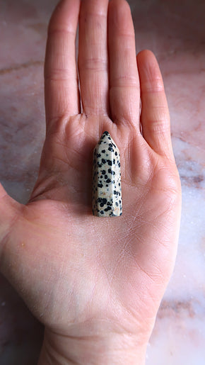 Small Dalmation Jasper Point