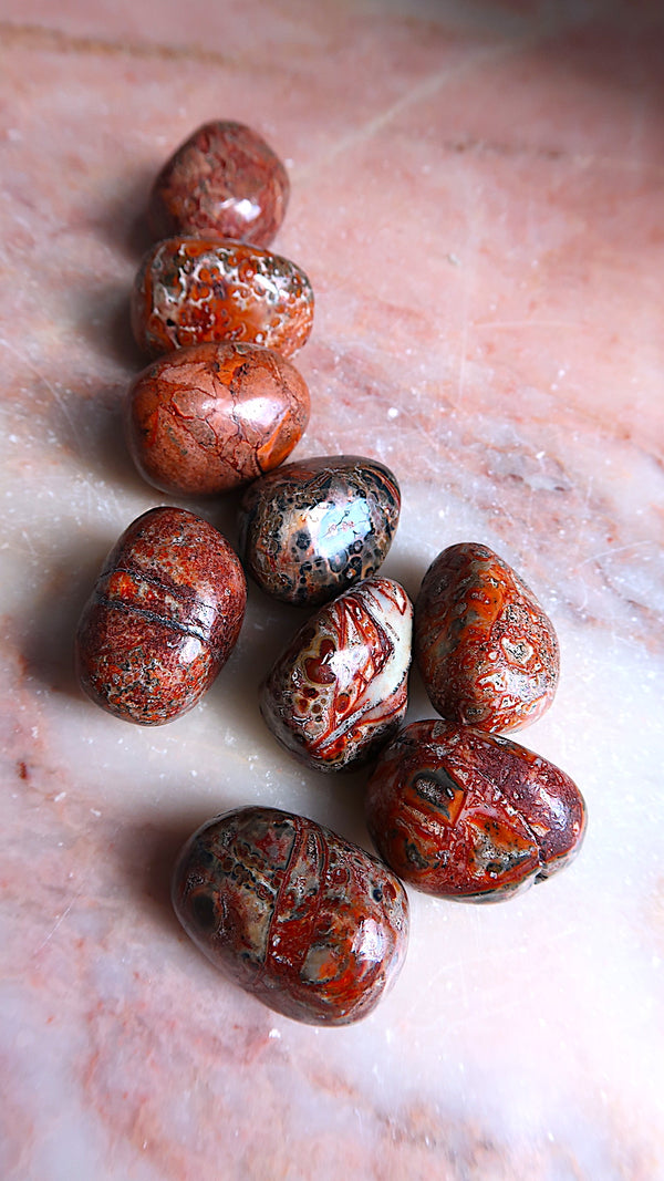 Leopard Jasper Tumbles