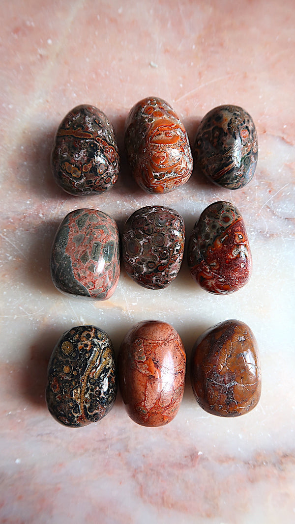 Leopard Jasper Tumbles