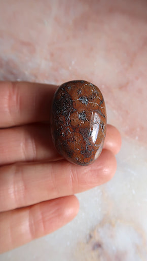Leopard Jasper Tumbles