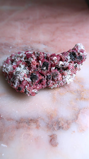 Raspberry Granet Cluster