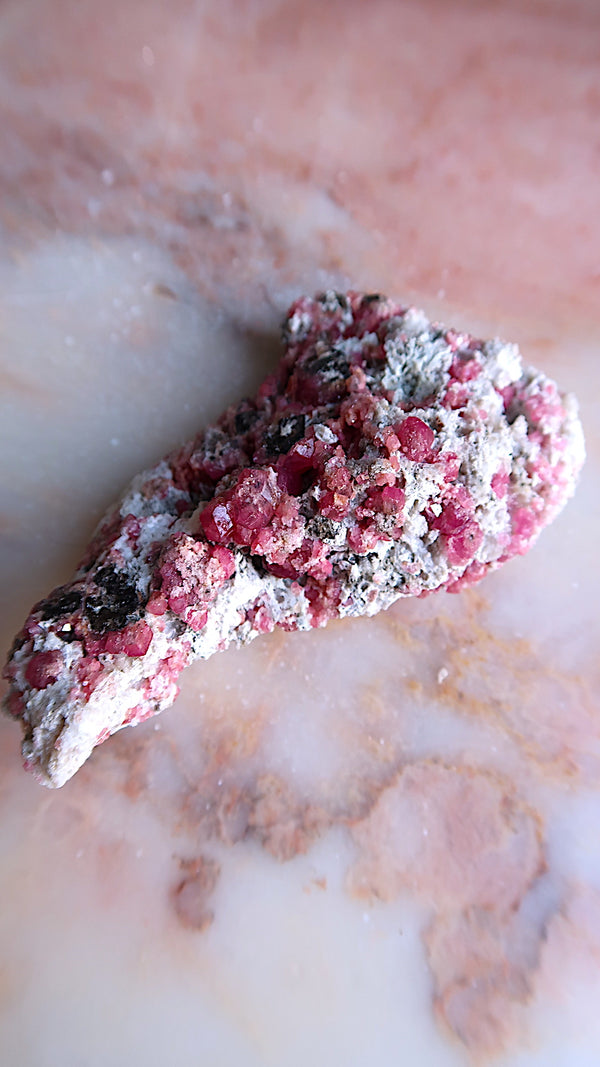 Raspberry Granet Cluster