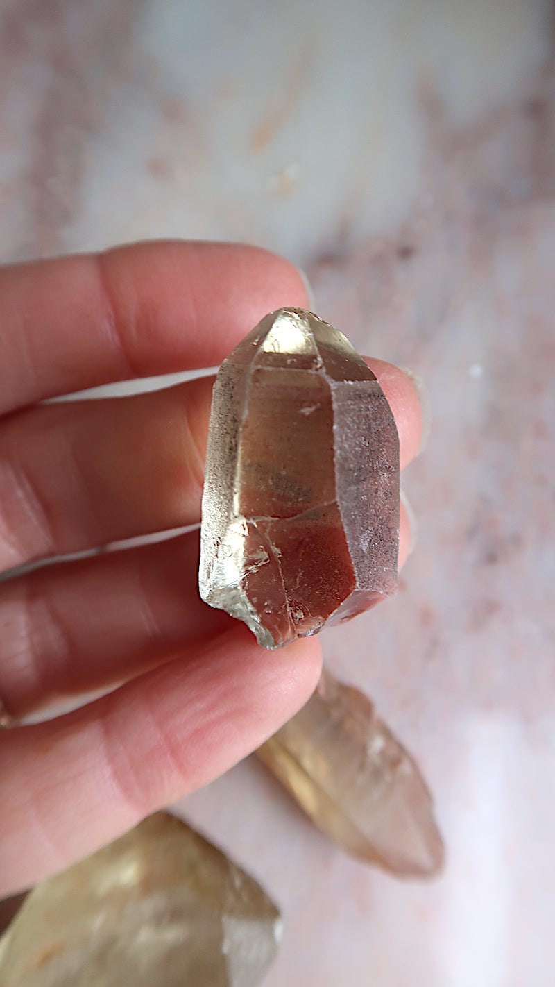 Raw Natural Citrine Points