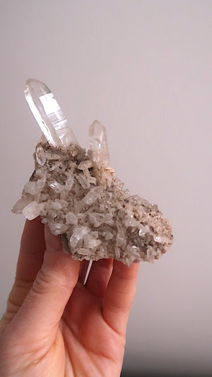 Clear Quartz Cluster