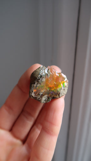 Special: Premium Opal