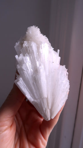 Premium Scolecite - Peace