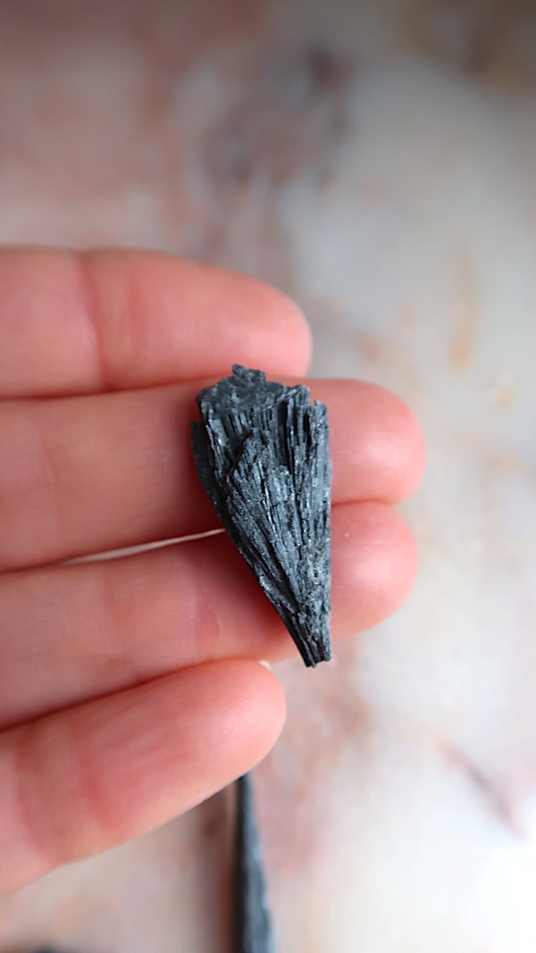 Small Black Kyanite