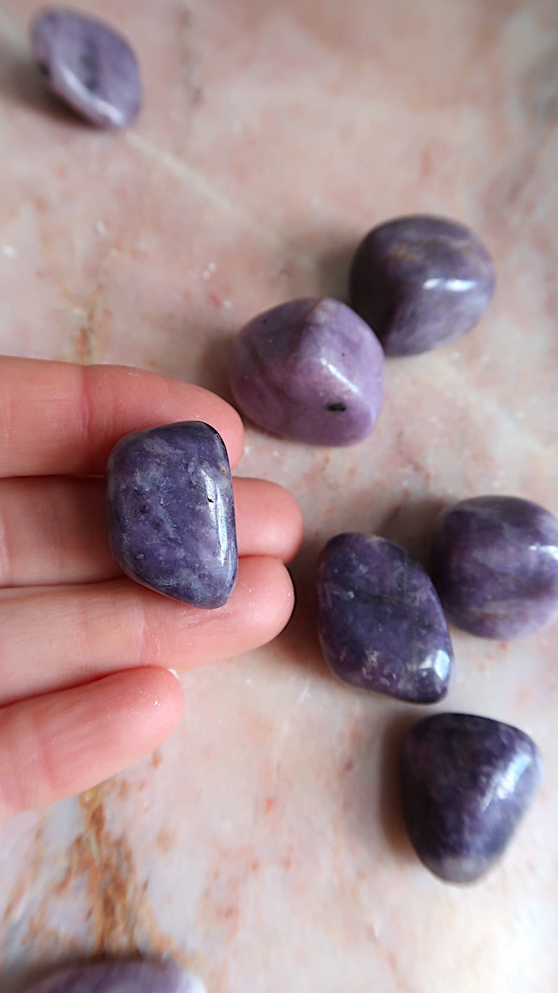 Lepidolite Tumbles