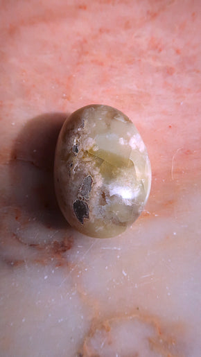Flower Agate Palm Stone