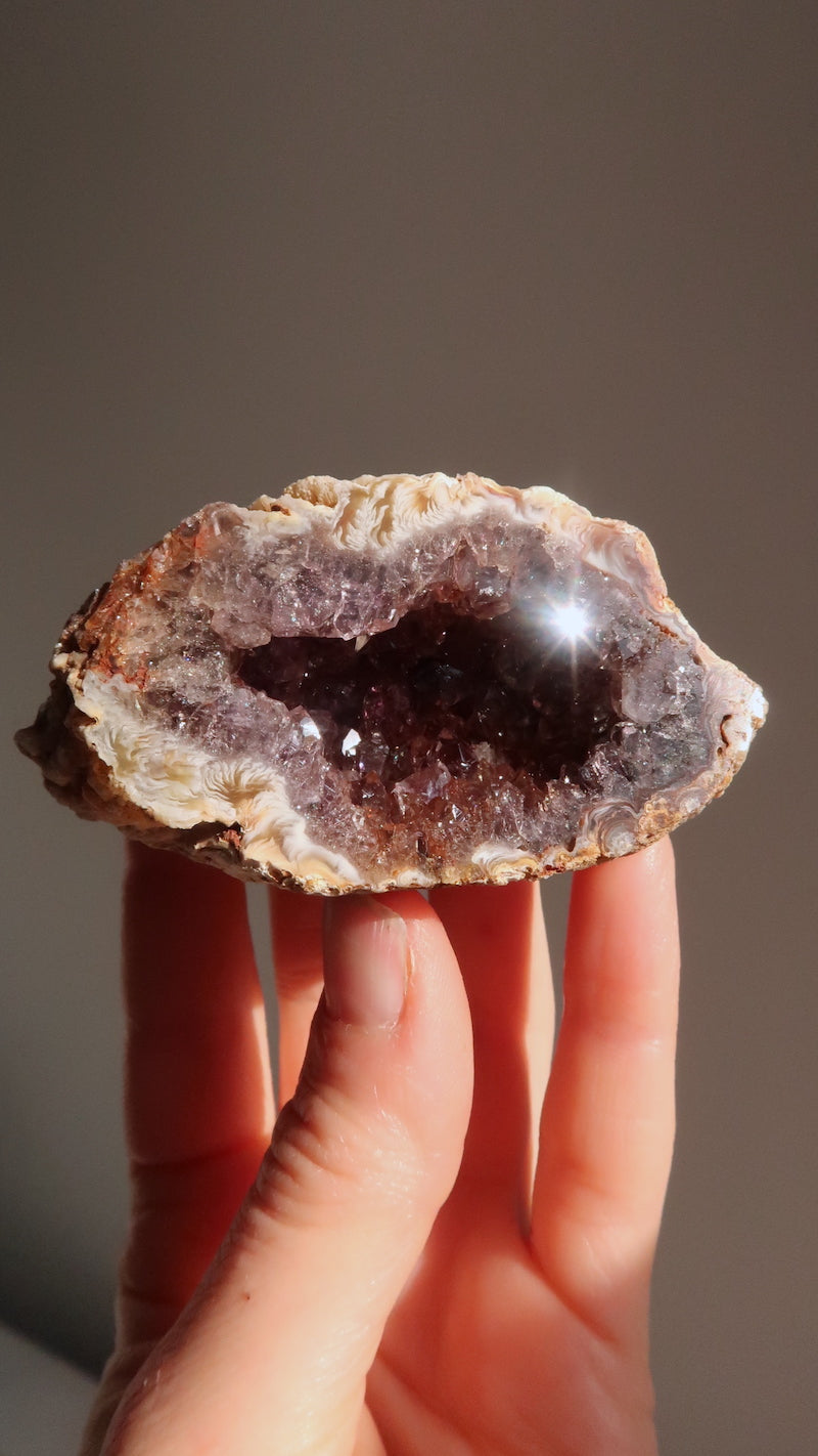 Premium Amethyst Cave Cluster
