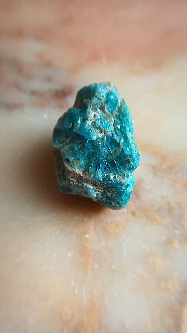 Raw Blue Apatite