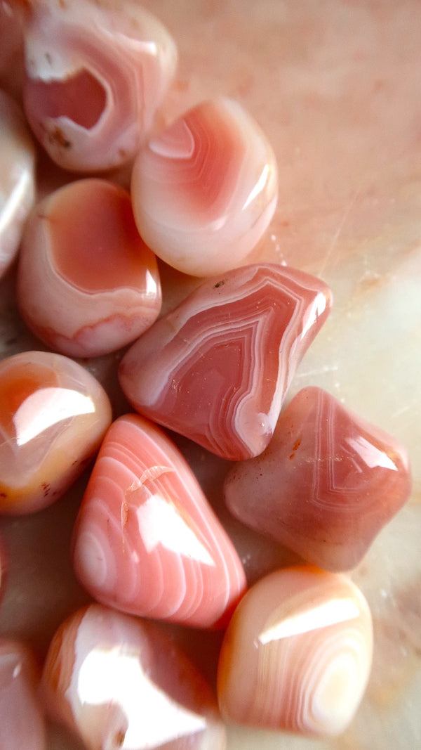 Apricot Agate Tumbles
