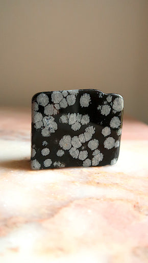 Snow Flake Obsidian