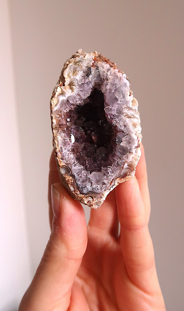 Premium Amethyst Cave Cluster