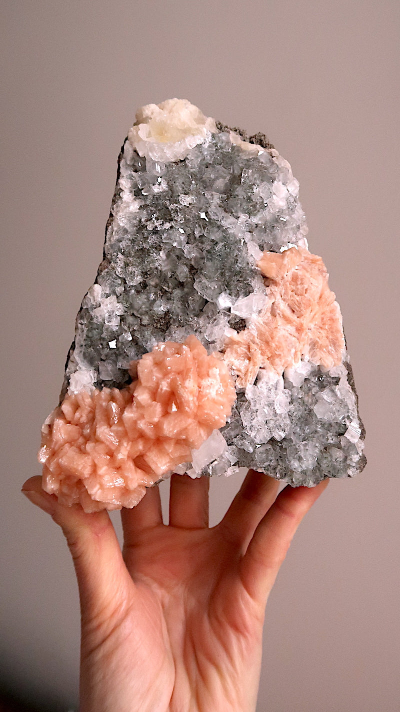 Large Apophyllite & Stilbite Flowers