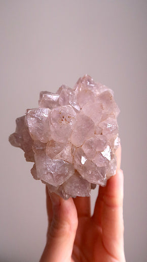 Amethyst Cluster