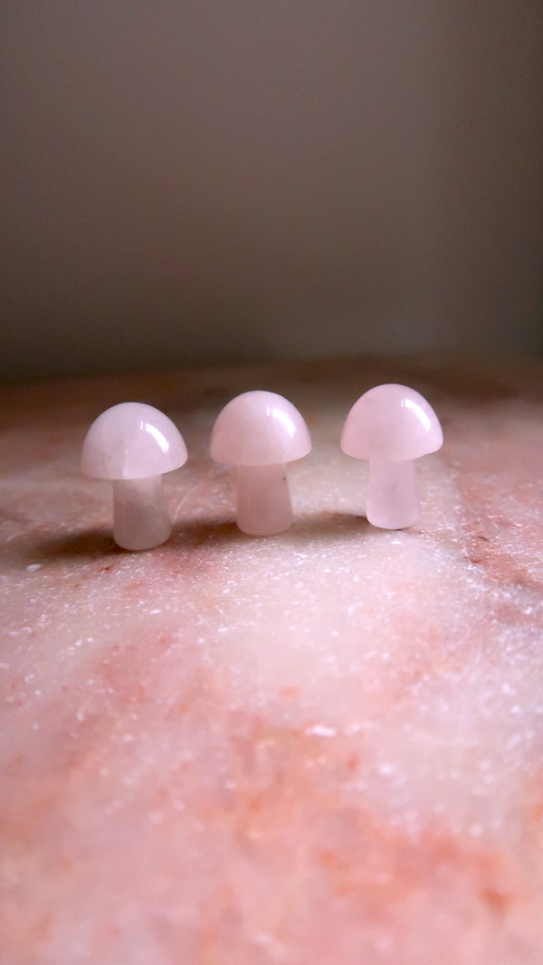 Rose Quartz Mushrrom