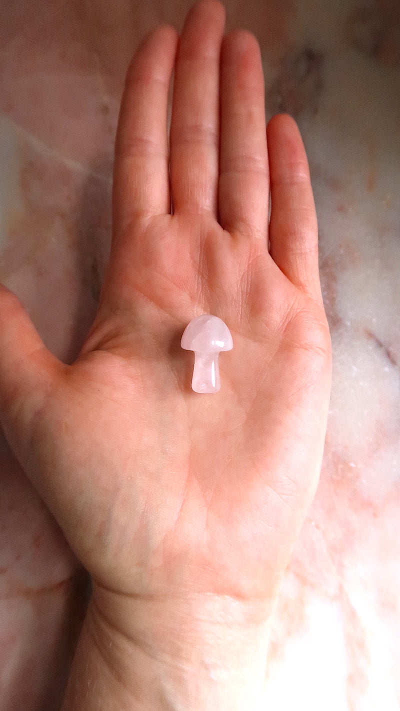 Rose Quartz Mushrrom