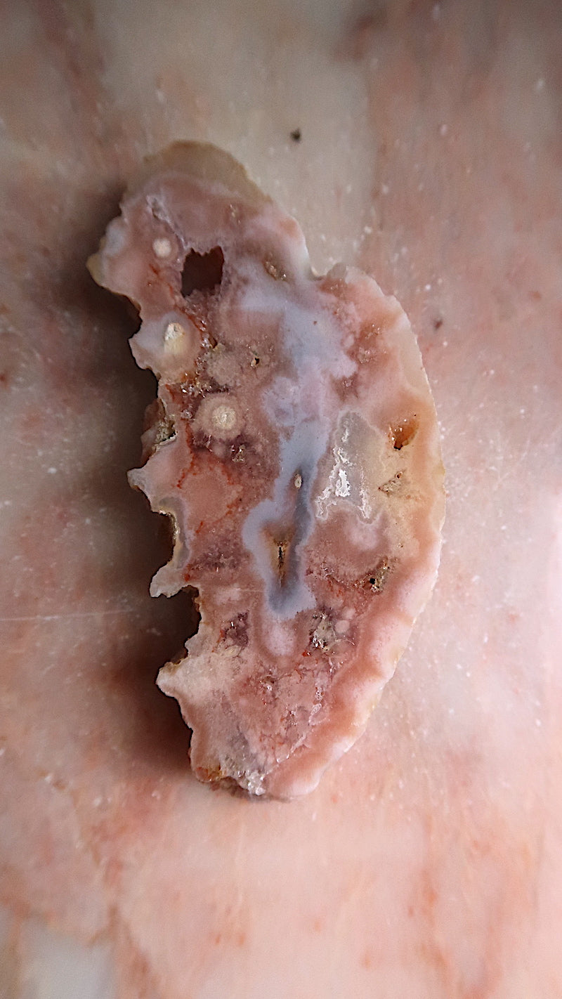 Flower Agate Slice