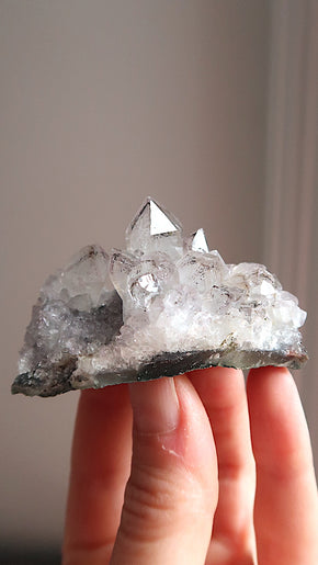 Amethyst Cluster
