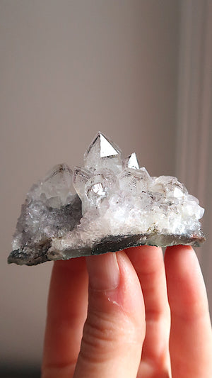 Amethyst Cluster