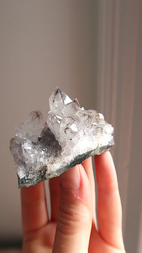 Amethyst Cluster
