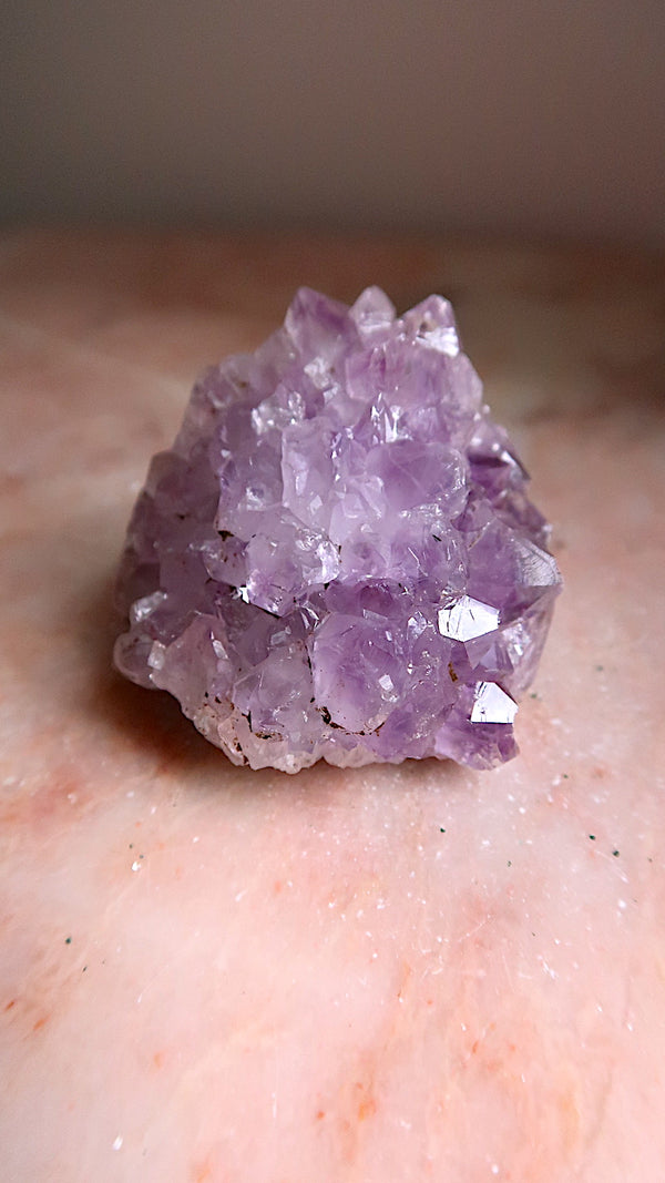 Amethyst Cluster