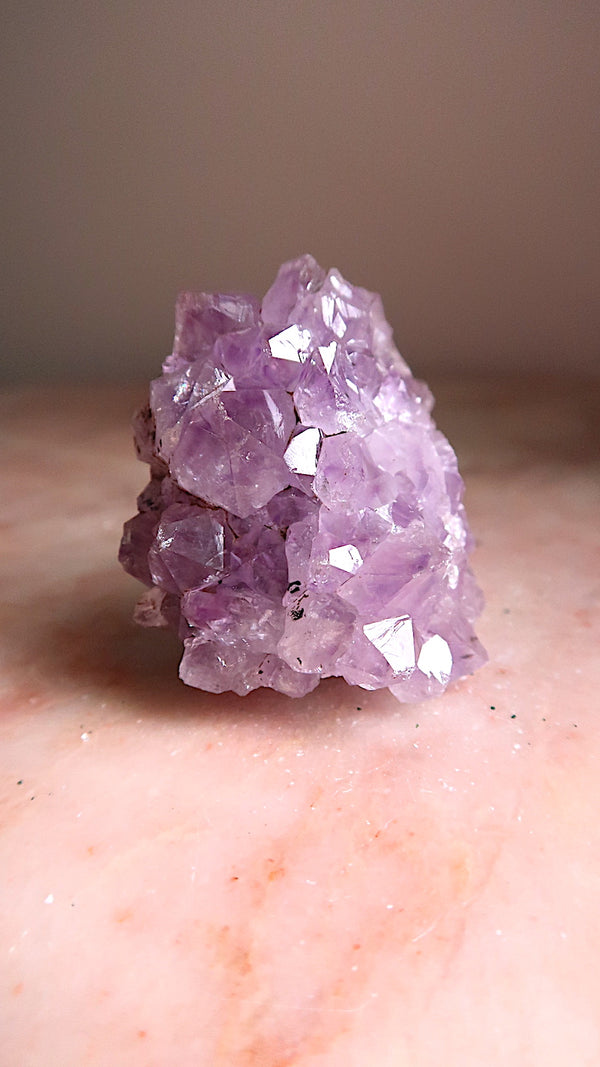 Amethyst Cluster