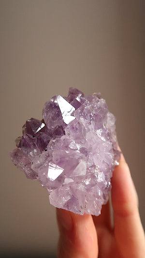 Amethyst Cluster
