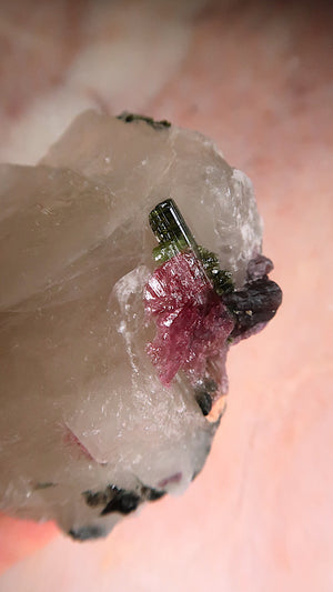 Pink Black Green Tourmaline