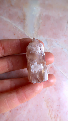 Pink Flower Agate Points