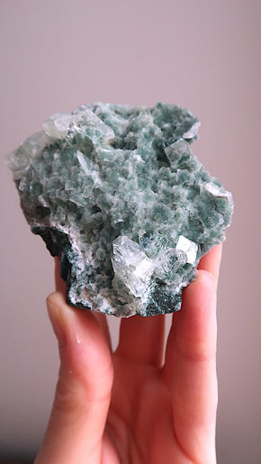 Special: Sparkly Apophyllite